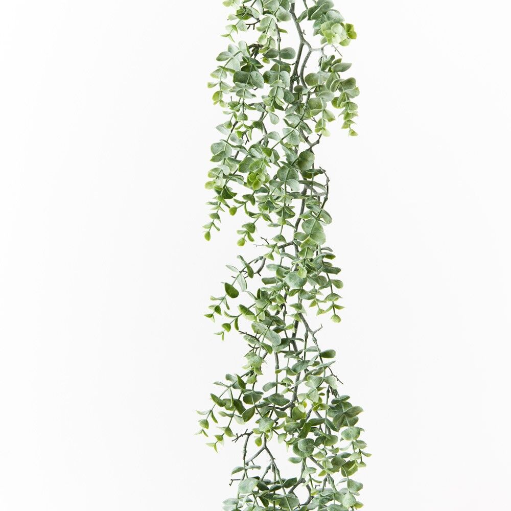 Silver Dollar Eucalyptus Garland 183cmL