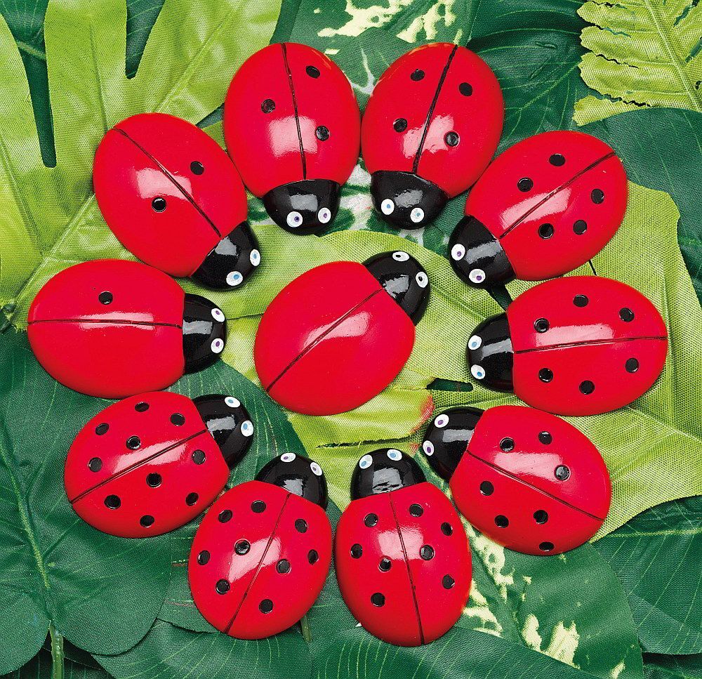 Ladybug Counting Stones