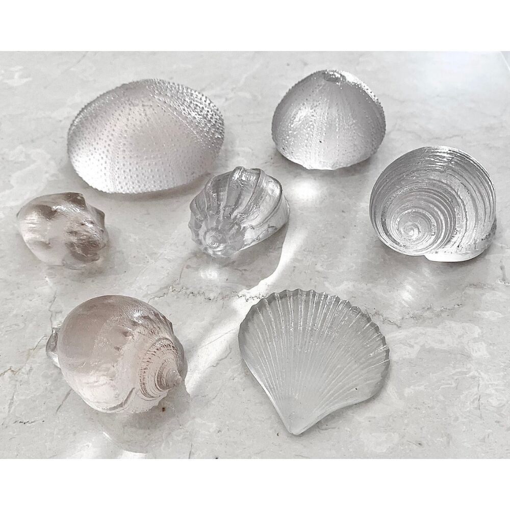 Papoose Lucite Shells & Urchins - 7pcs