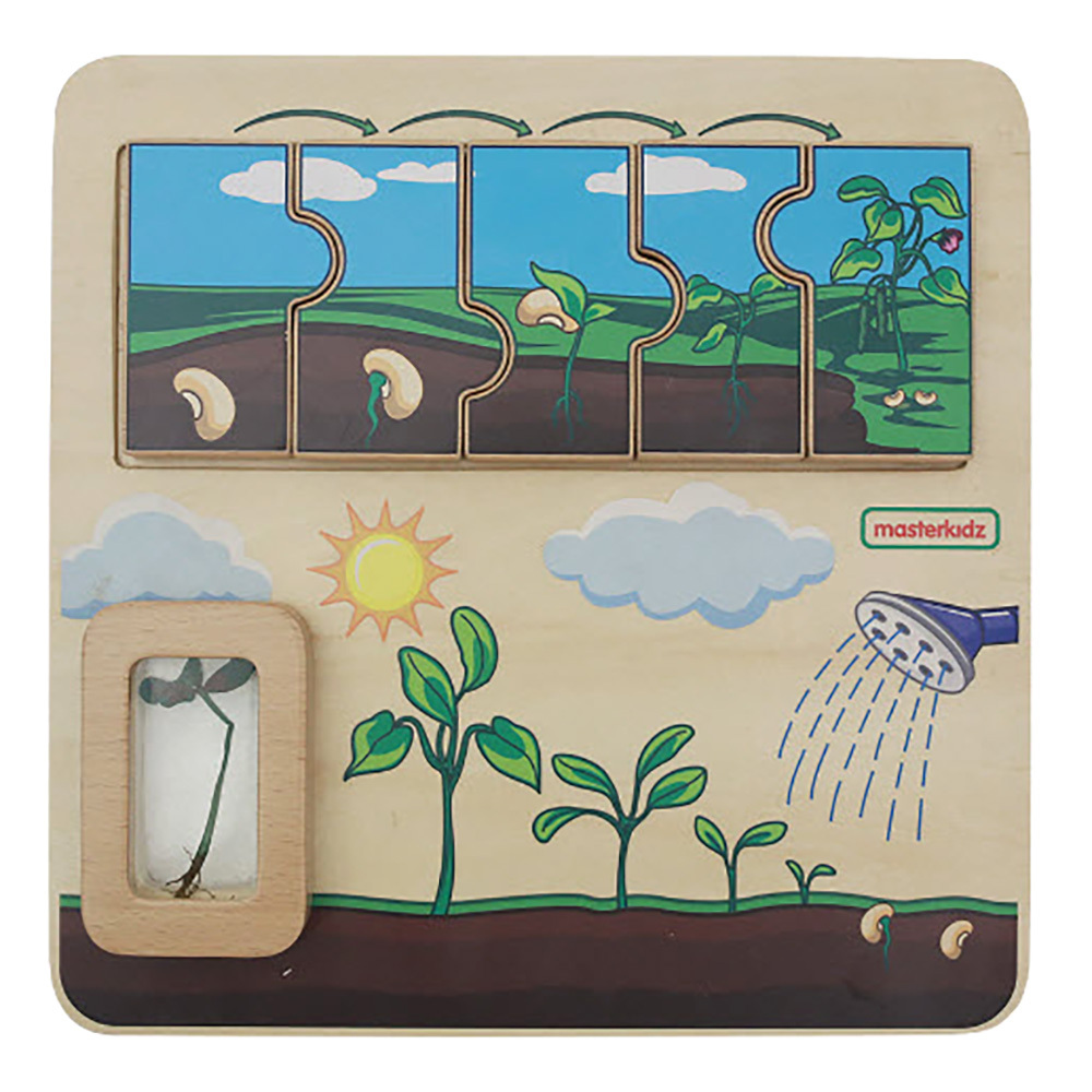 Masterkidz Plant Life Cycle Handy Learning Board