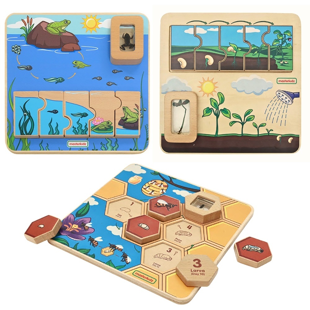 Masterkidz Life Cycle Handy Learning Boards - Set of 3